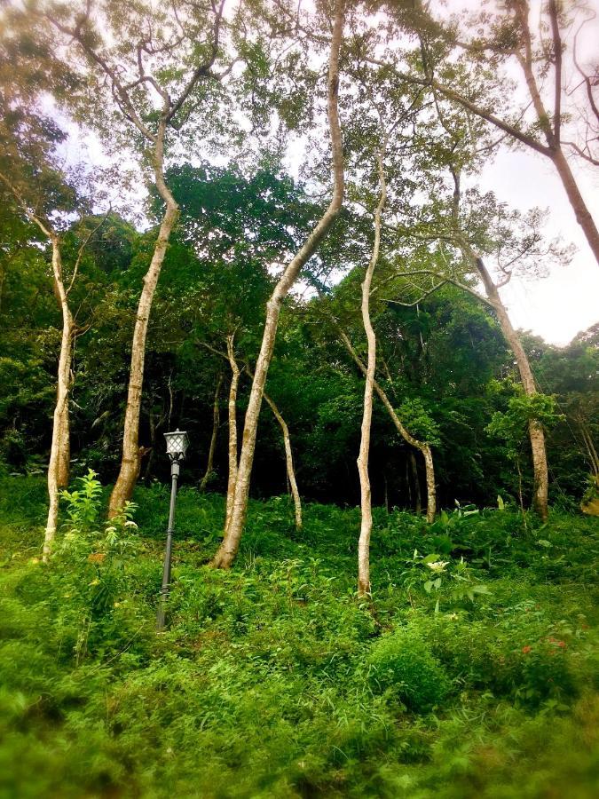 Wan Ruey Resort Hengshan Exteriör bild
